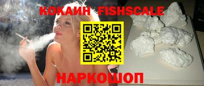 крисы Моздок