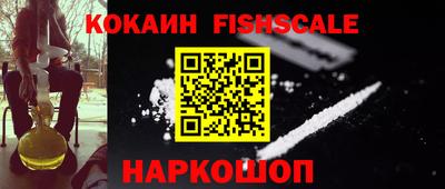 крисы Моздок