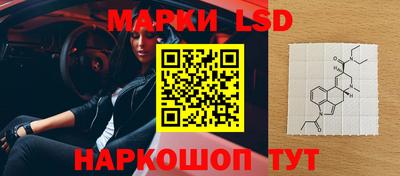 гидропоника Можга