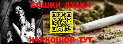 крисы Моздок