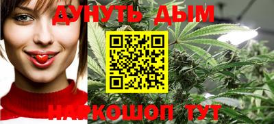 крисы Моздок