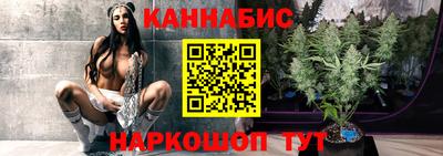 крисы Моздок