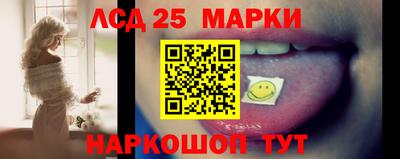 гидропоника Можга
