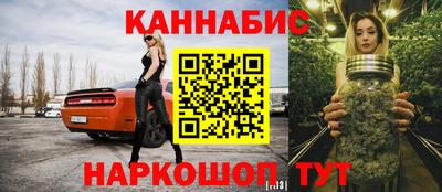 крисы Моздок