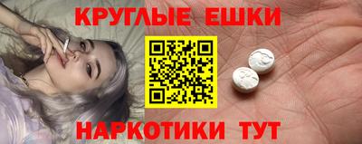 крисы Моздок