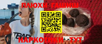 крисы Моздок