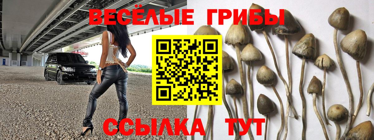 Псилоцибиновые грибы мухоморы Ханты-Мансийск