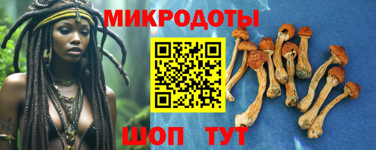 Ханты-Мансийск  Галлюциногенные грибы Psilocybine cubensis  Вход с VPN 